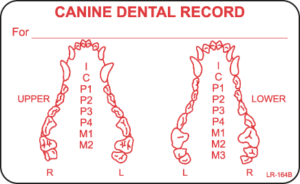 Canine Dental Record Label