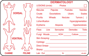 Dermatology Canine/Feline