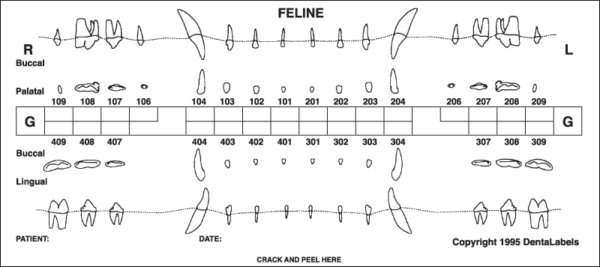 DentaLabels Feline