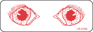 Optical Diagram Label