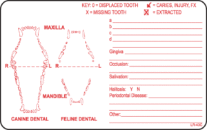 Canine & Feline Dental Label