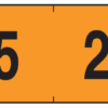 YL-25 - Image 5