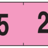 YL-25 - Image 2